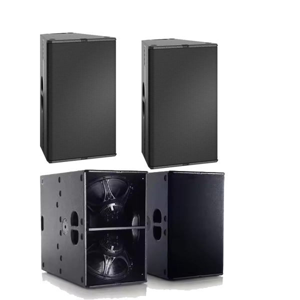 Audio Music Hall - Professional Famous T24N Dual Matrix Speaker