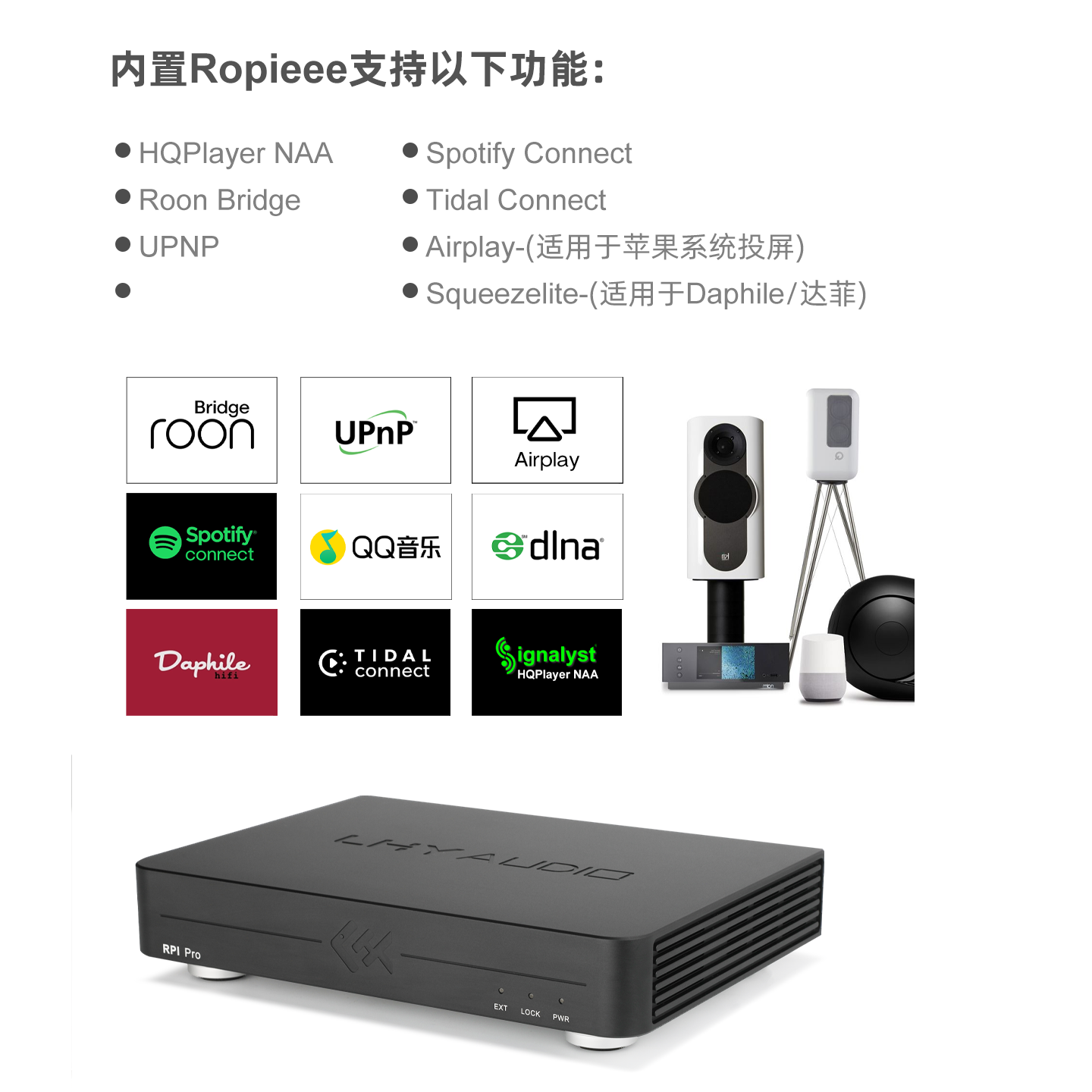 Tiger Fish Audio RPI Pro Strea - Audio Music Network ulasan dan harga